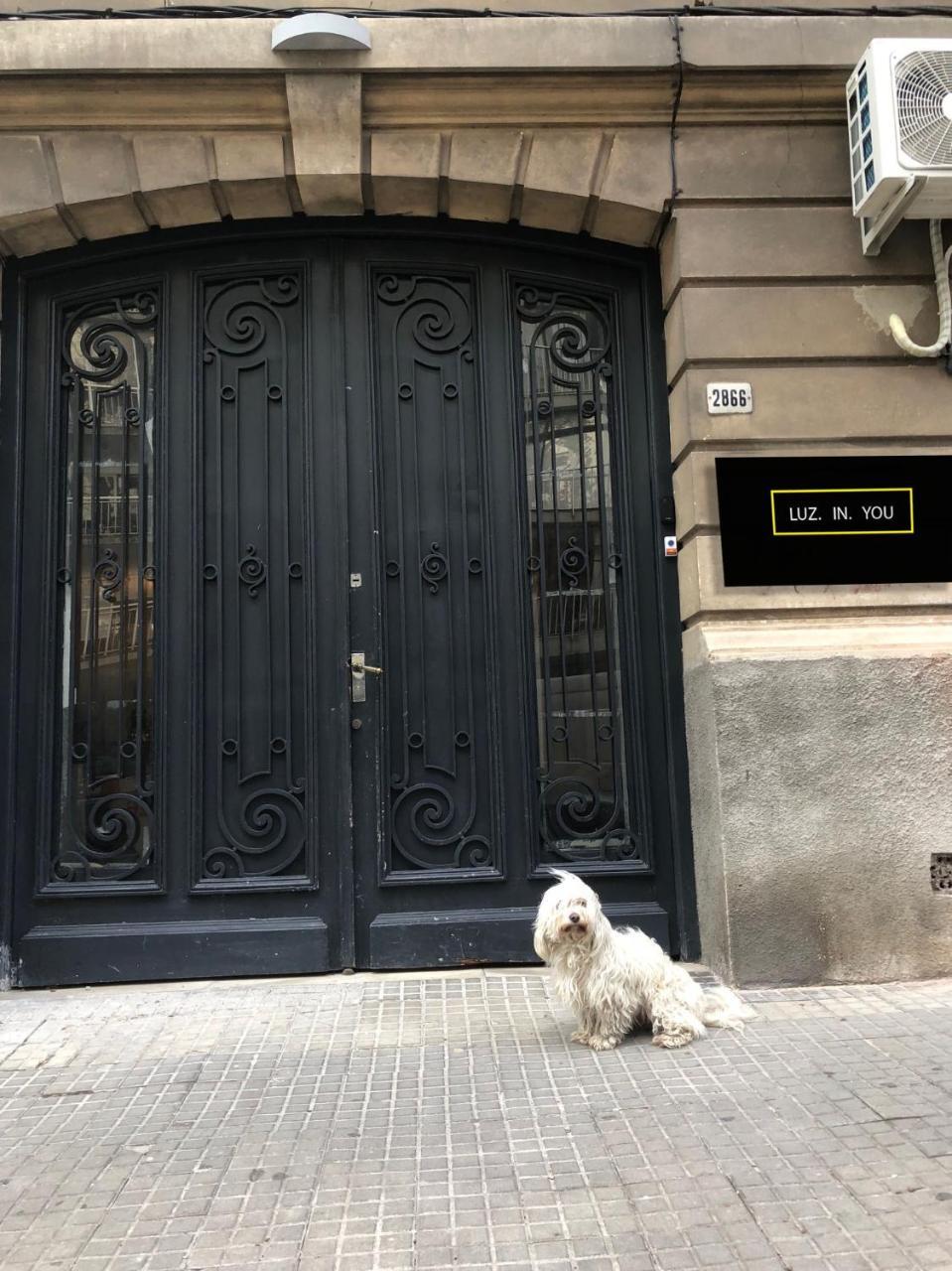 Luz In You Montevideo Exterior foto